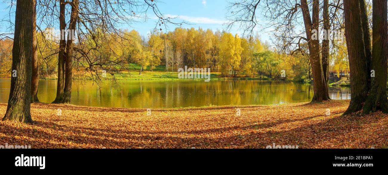 Sonnige Herbst Naturlandschaft mit ruhigen See im Stadtpark und nackten Bäumen im oktober Abend.Herbstfarben. Stockfoto