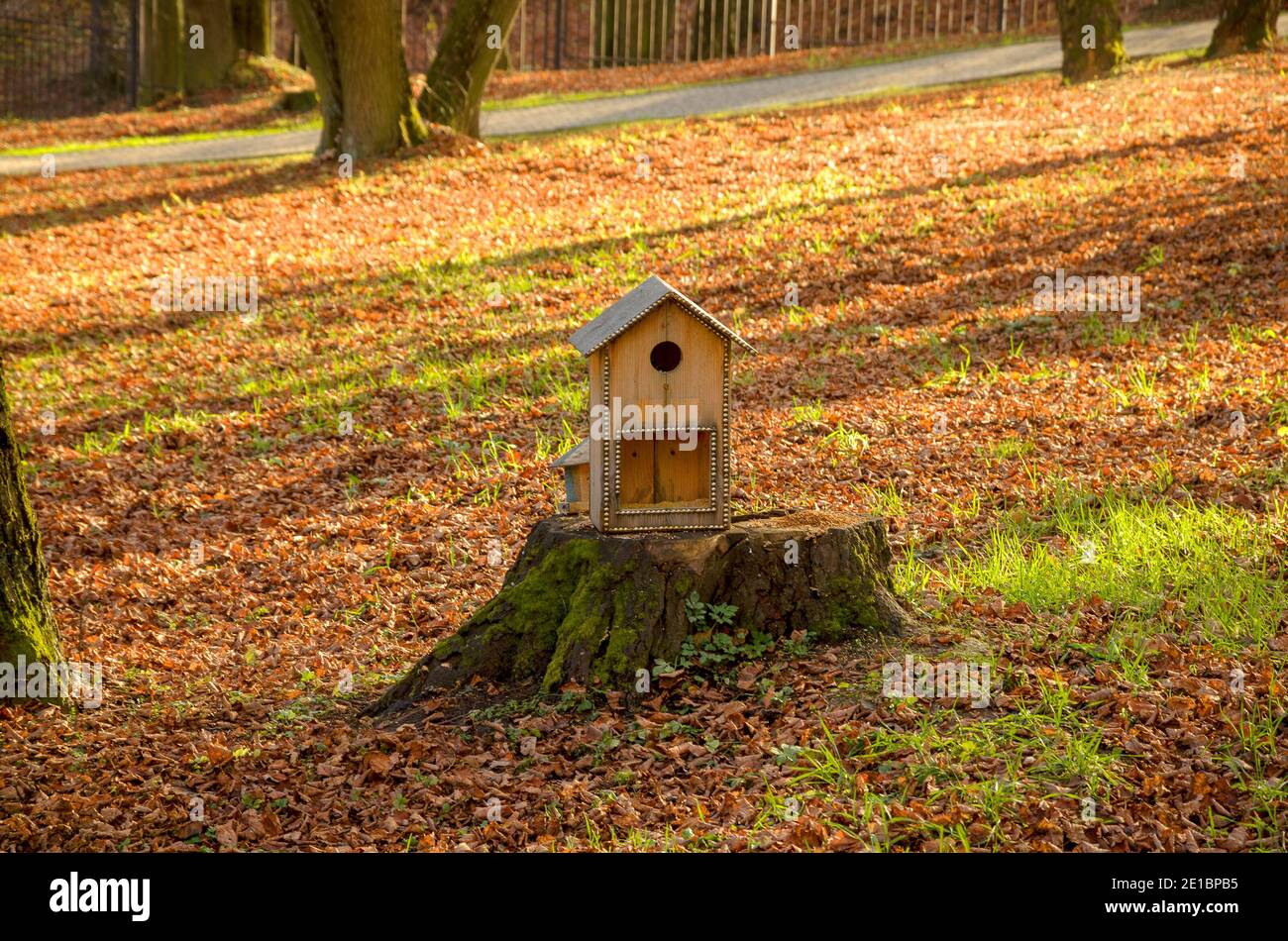 Sonnige Herbstszene mit leerem hölzernen Vogelfutterhäuschen, das auf einem Stumpf im Stadtpark steht. Stockfoto