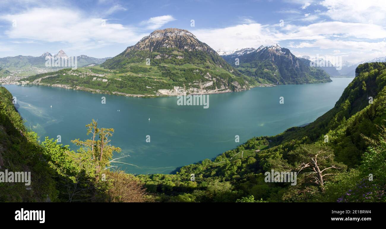 Ruetli, Schweiz: see der vier Kantone Stockfoto