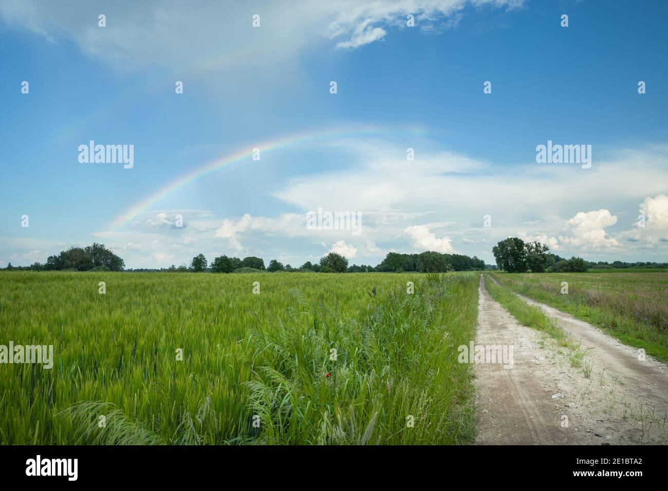 Landstraße neben dem grünen Feld, Regenbogen am Himmel Stockfoto