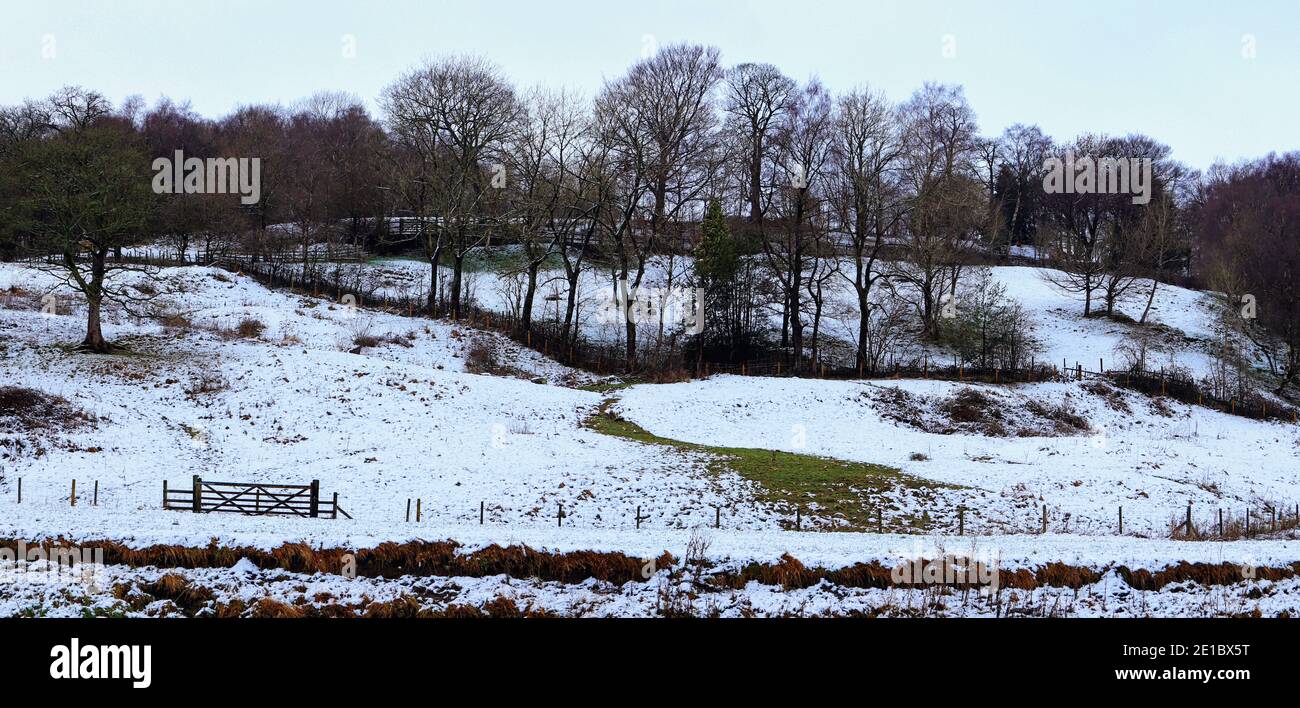 Schnee auf dem Boden steht im Winter im Kontrast zu den dunklen, kargen Bäumen in der Landschaft von Lancashire. Stockfoto