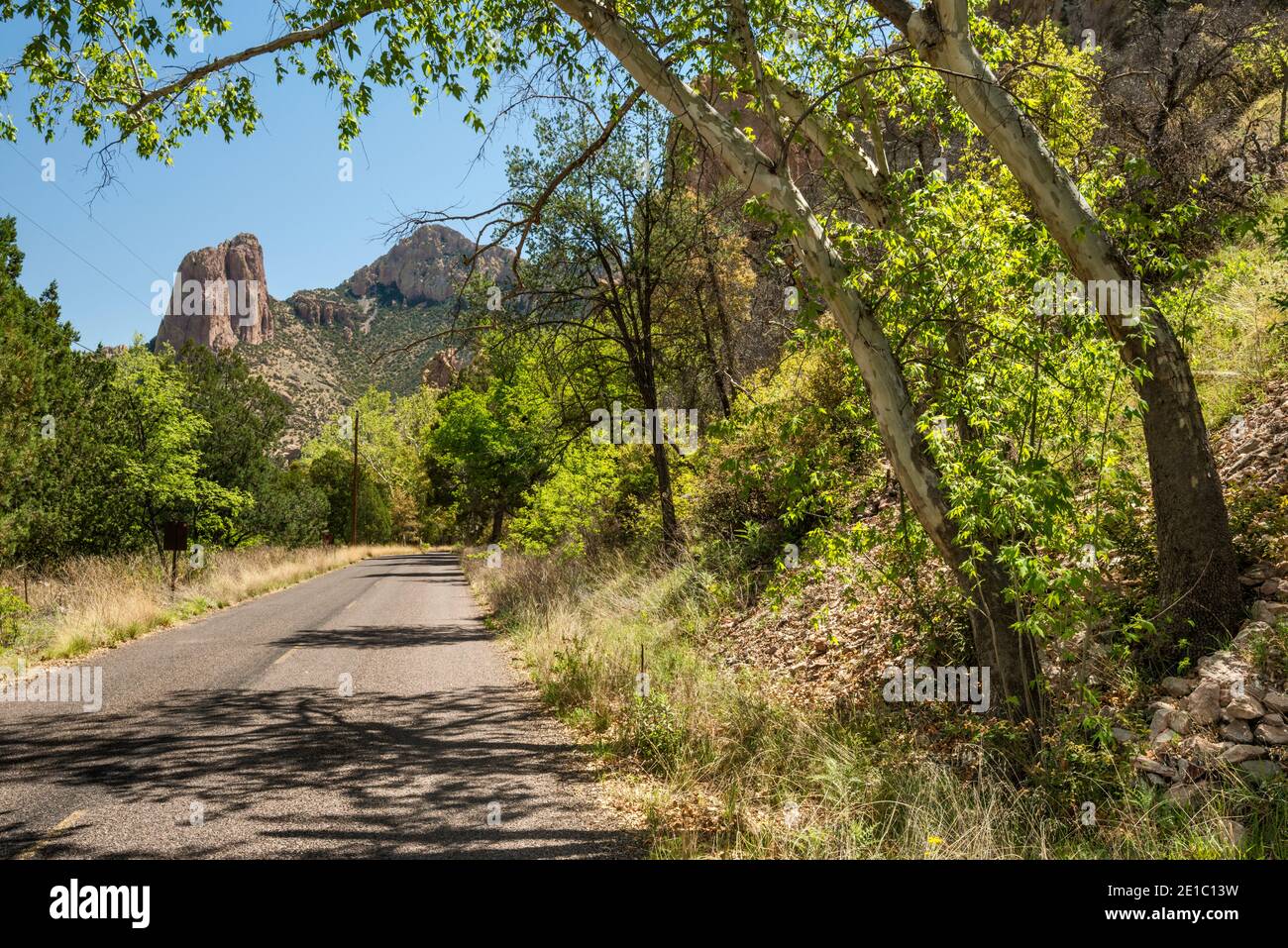 Rhyolithische Klippen von der Straße aus gesehen im Cave Creek Canyon, Lebensraum der Uferzone in Chiricahua Mountains, nahe Portal, Arizona, USA Stockfoto