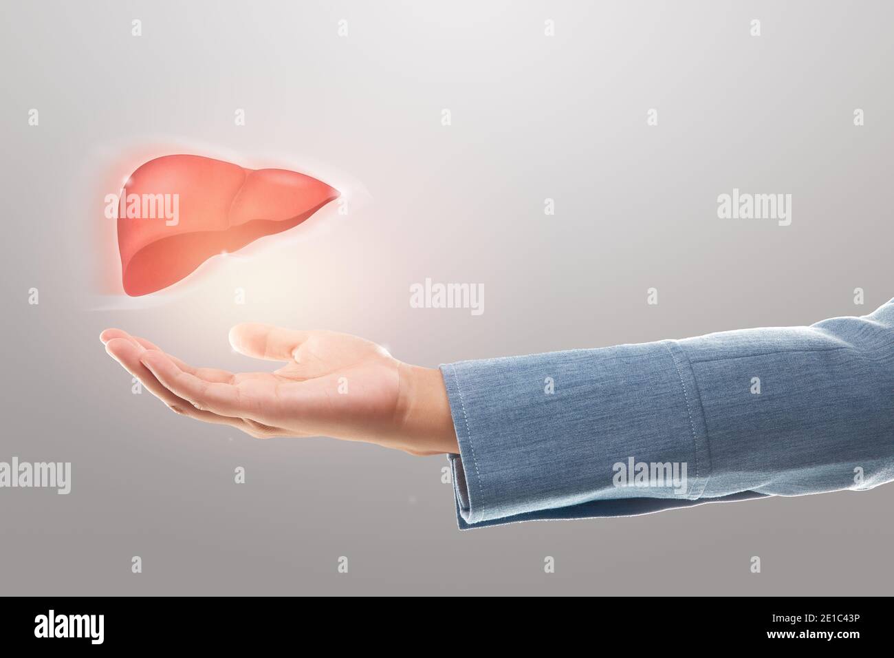 Ärztin mit Leberillustration vor grauem Hintergrund. Das Konzept des Schutzes von Lebererkrankungen und der Gesundheitsversorgung. Stockfoto
