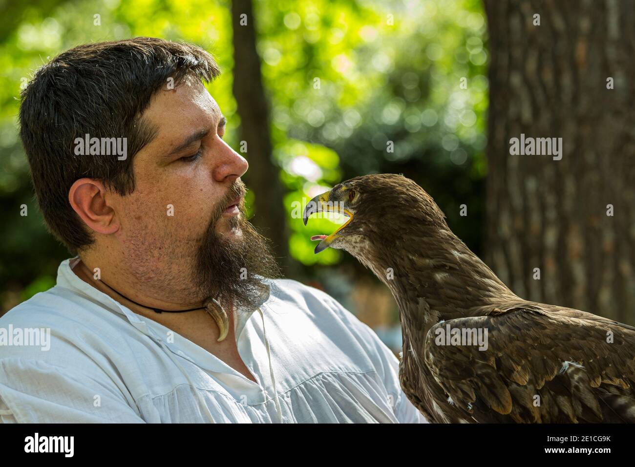 Falconer bei der Parade der Joust von Sulmona. Provinz L'Aquila, Abruzzen, Italien, Europa Stockfoto