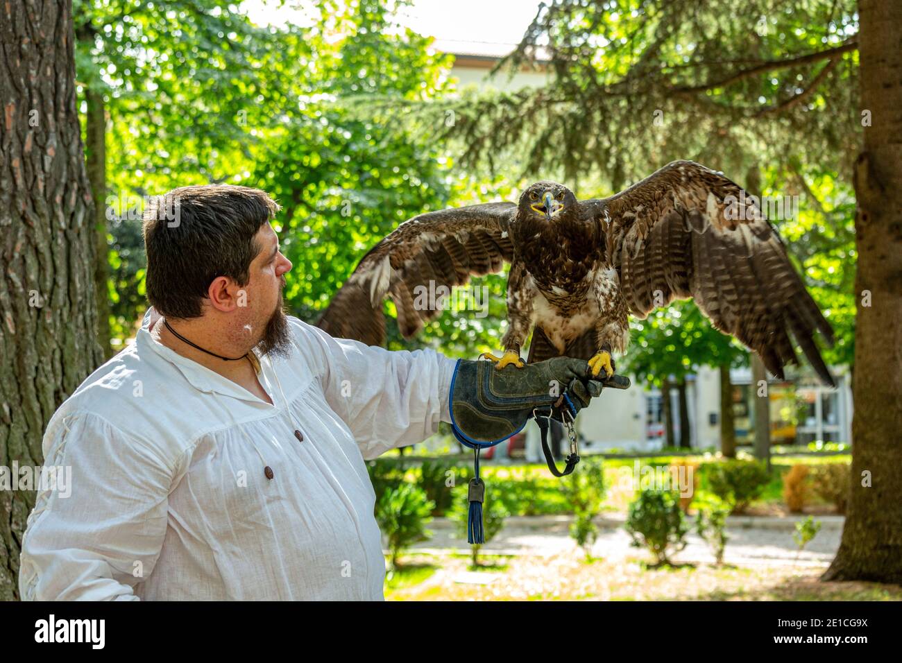 Falconer bei der Parade der Joust von Sulmona. Provinz L'Aquila, Abruzzen, Italien, Europa Stockfoto