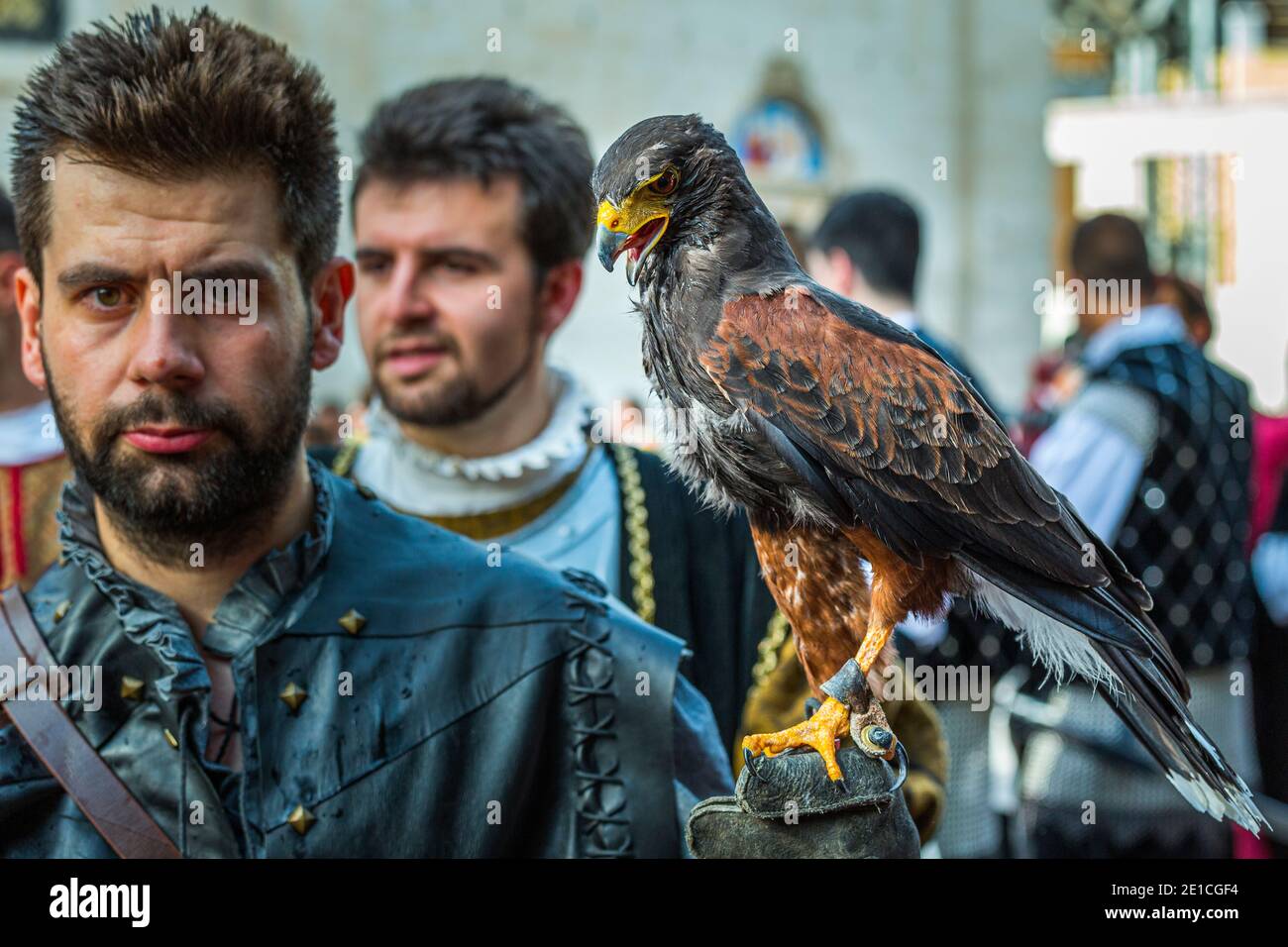 Falconer bei der Parade der Joust von Sulmona. Provinz L'Aquila, Abruzzen, Italien, Europa Stockfoto