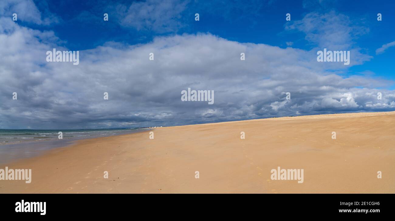 Ein schöner breiter leerer goldener Sandstrand an der Algarve In Portugal Stockfoto