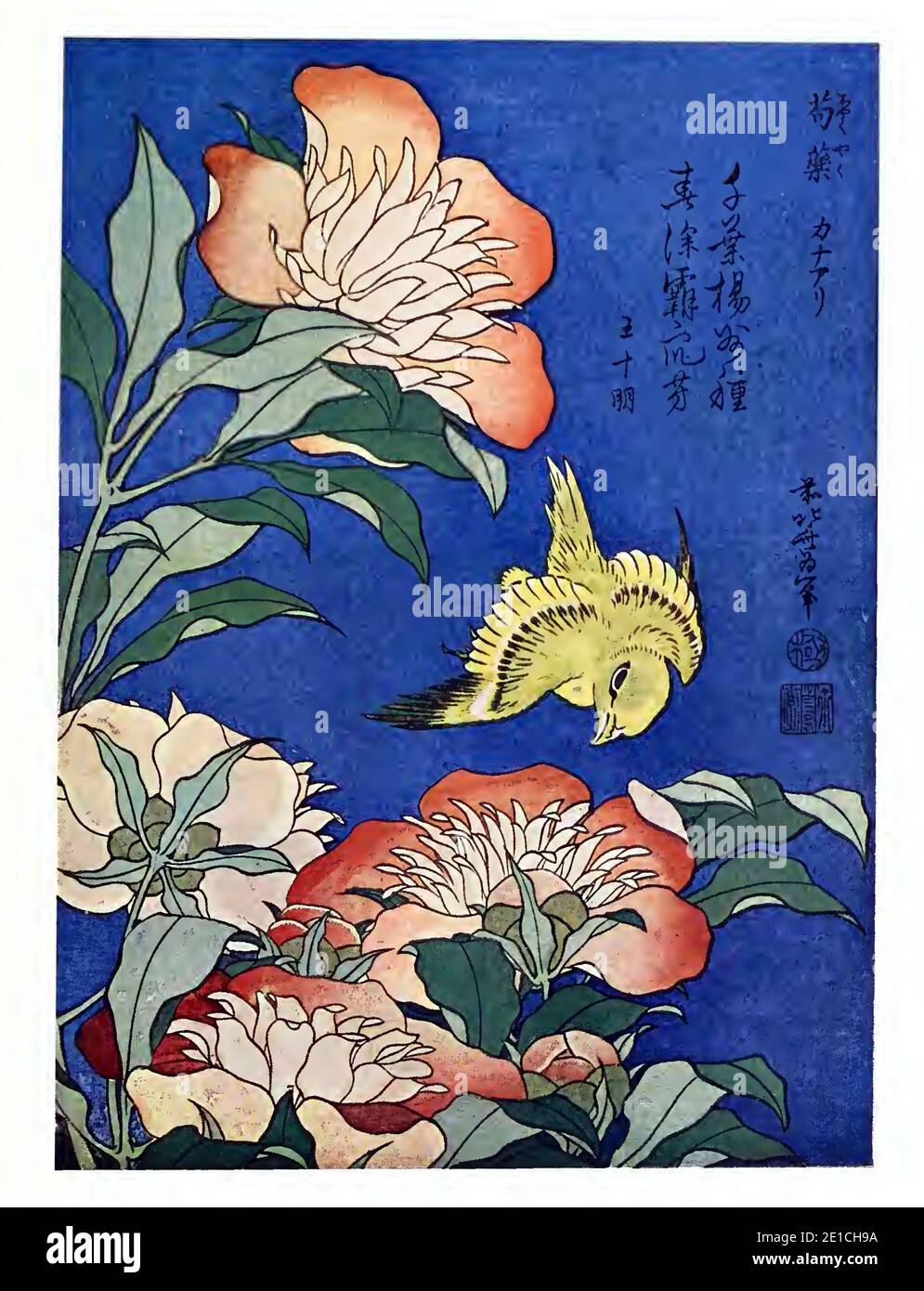 Antiker japanischer Vintage-Druck mit dem Titel Pfingstrosen und Kanarienvogel von Katsushika Hokusai von ca. 1834 Stockfoto