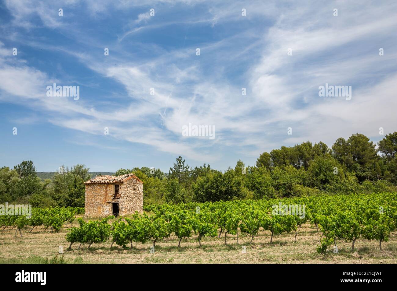 Ein Stein cabanon, oder Arbeiterhütte, in einem Weinberg in der Provence Stockfoto