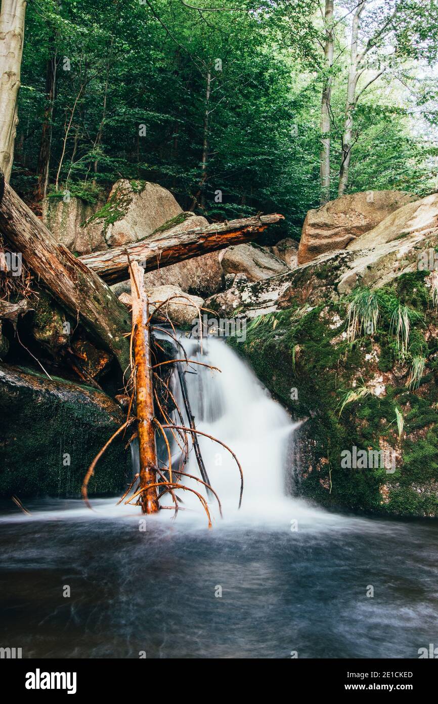 Wasserfall Jedlova im Isergebirge, Tschechische Republik. Wasser strömt durch den Felsen und ein Baum steht ihm im Weg. Friedlicher und harmonischer Ort. Stockfoto