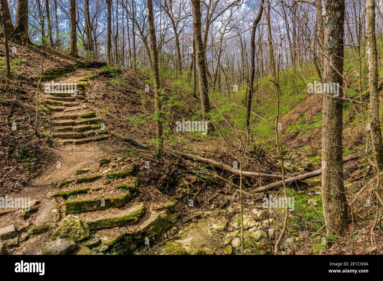 Frühlingslandschaft mit großen Felsbrocken im Wald Stockfoto