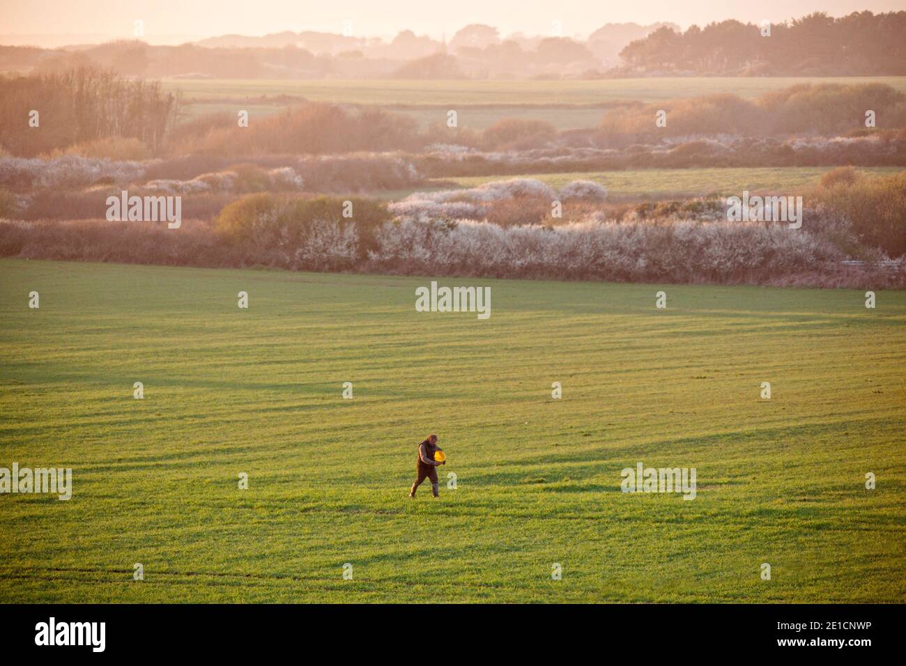 Ein Landwirt streut Samen über den Boden für den Anbau von Pflanzen, Kerroch, Bretagne, Frankreich. Stockfoto