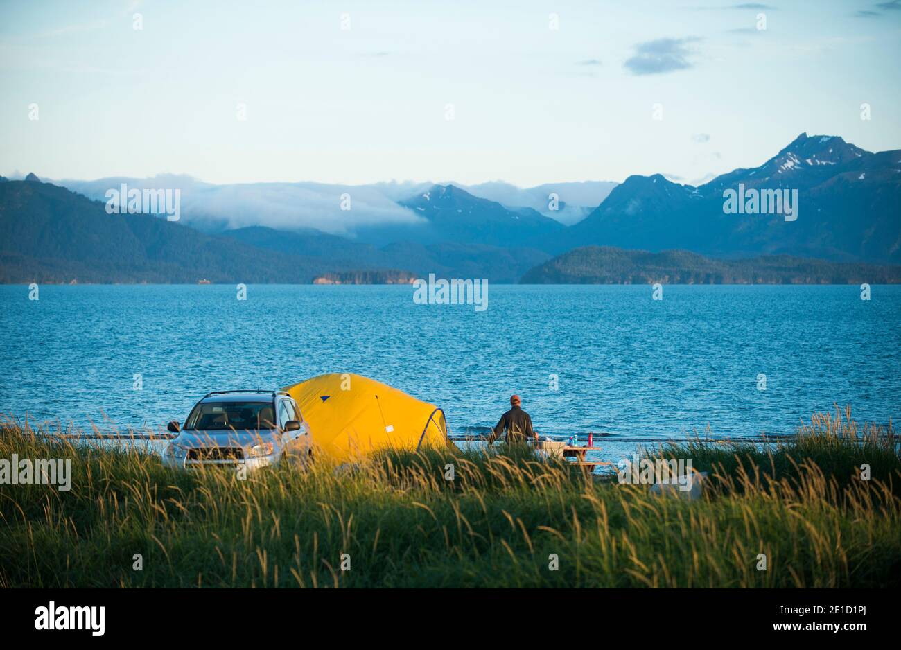Mann, der ein Lager auf der Alaska-Halbinsel, Homer, Alaska, USA, aufstellt Stockfoto