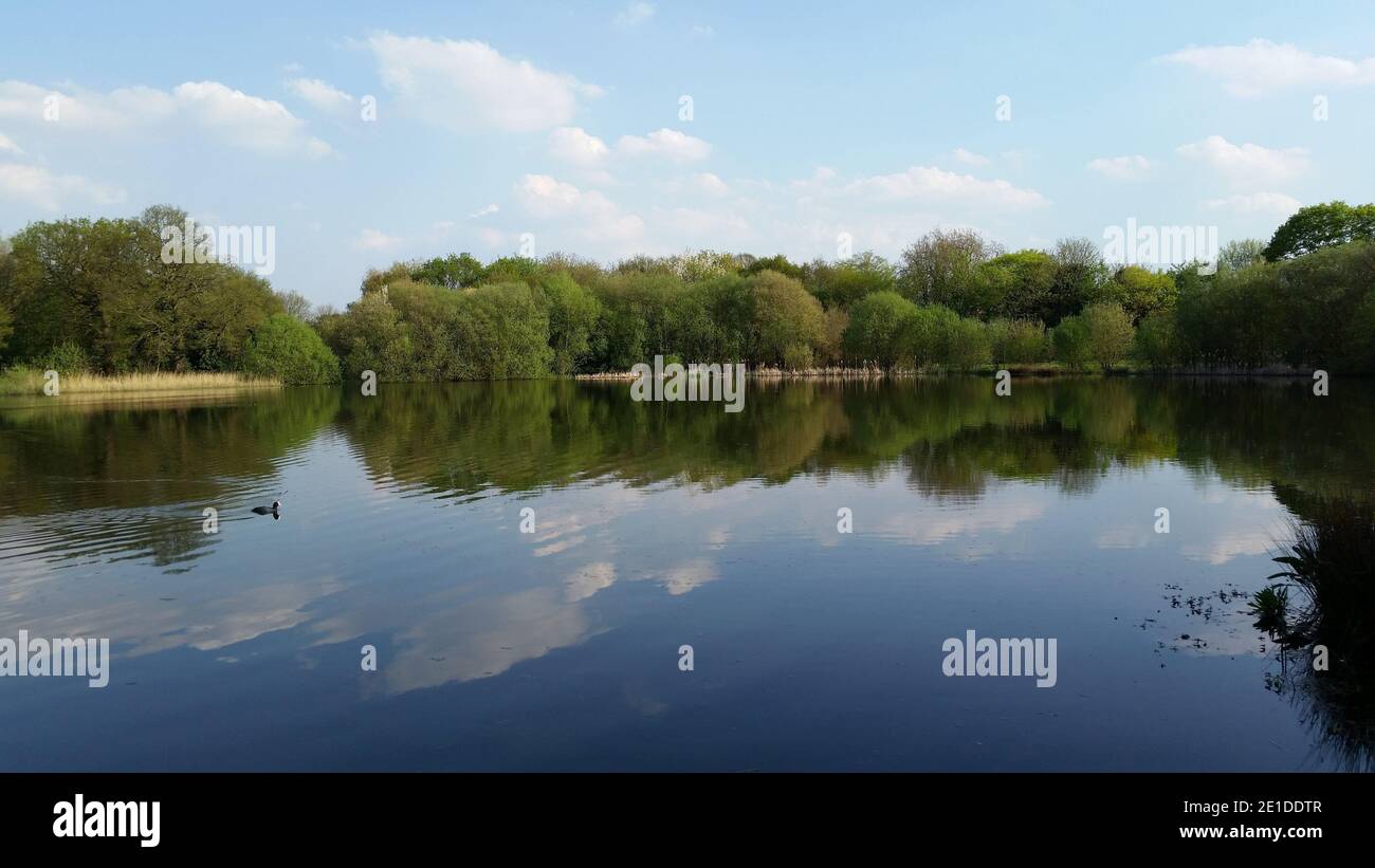 Wanstead Park London, im Frühling Stockfoto