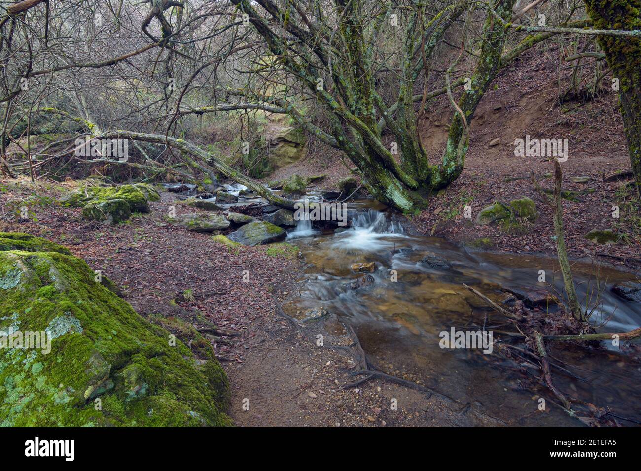 details de arroyo producido por el deshielo en las montañas Stockfoto
