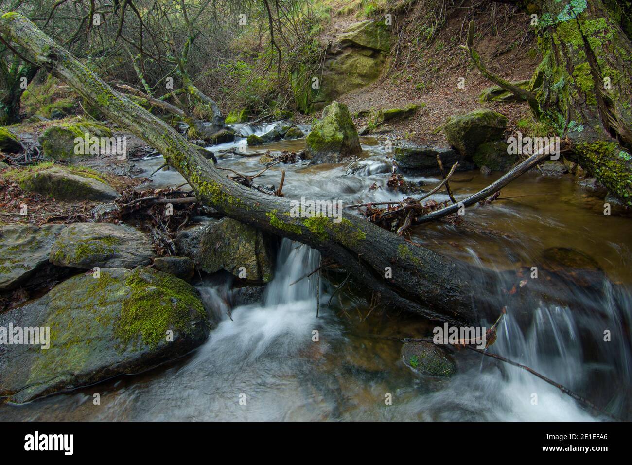 details de arroyo producido por el deshielo en las montañas Stockfoto