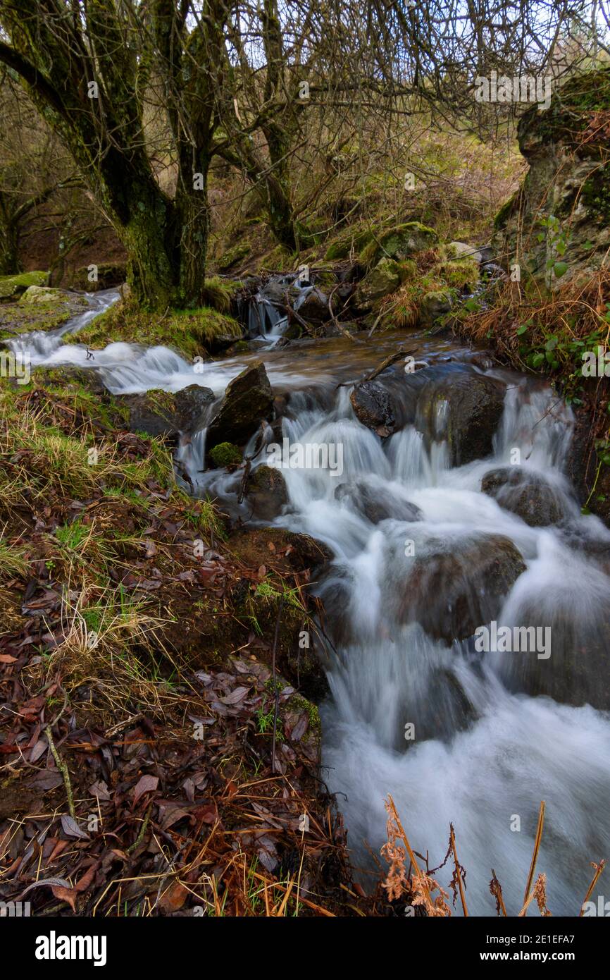 details de arroyo producido por el deshielo en las montañas Stockfoto