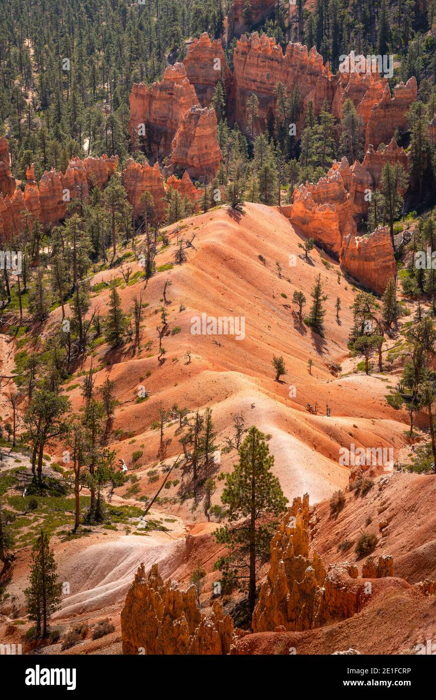 Malerische Aussicht auf Felsformationen vom Queens Garden Trail, Bryce Canyon National Park, Utah, USA Stockfoto