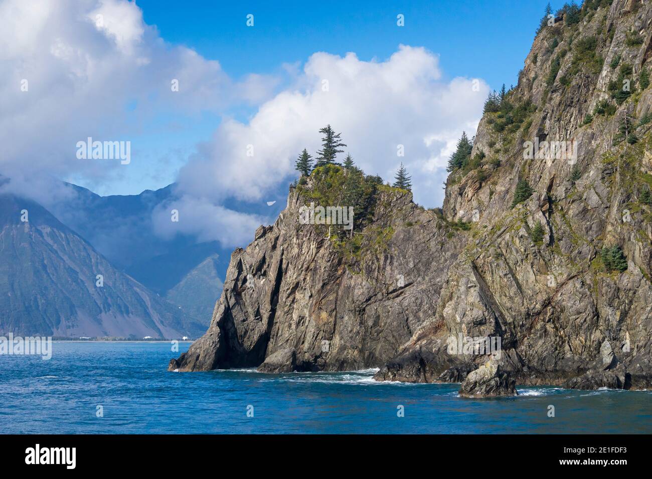 Bäume auf Felsen bei Resurrection Bay, Kenai Peninsula Borough, Southcentral Alaska, Alaska, USA Stockfoto