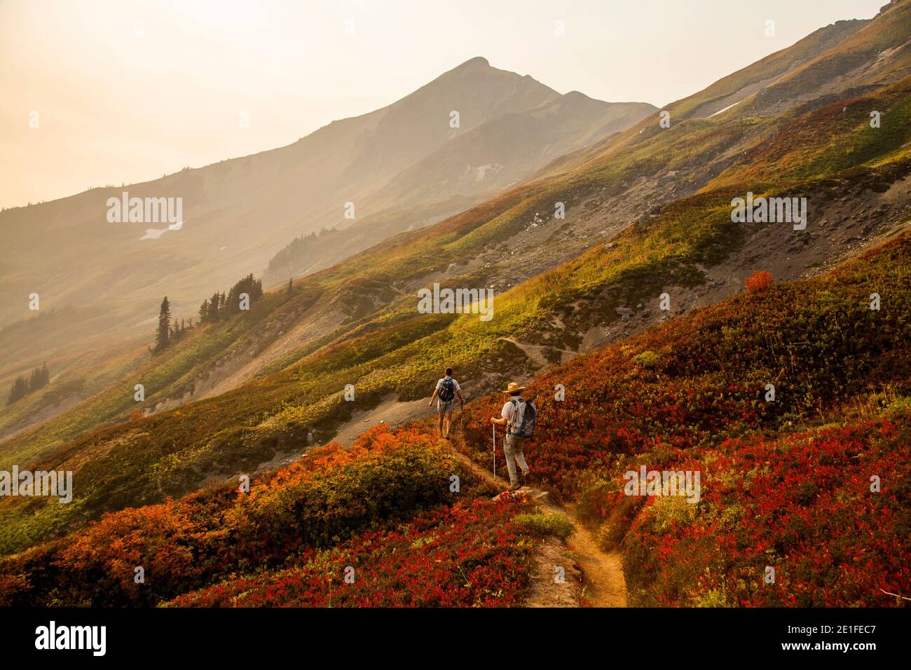 Ein Waldfeuer verwandelt eine helle Landschaft in ein Rot mit Wildblumen, während zwei Bergsteiger einen Pfad in der Glacier Peak Wilderness von Washington hinuntersteigen. (Veröffentlicht: S Stockfoto