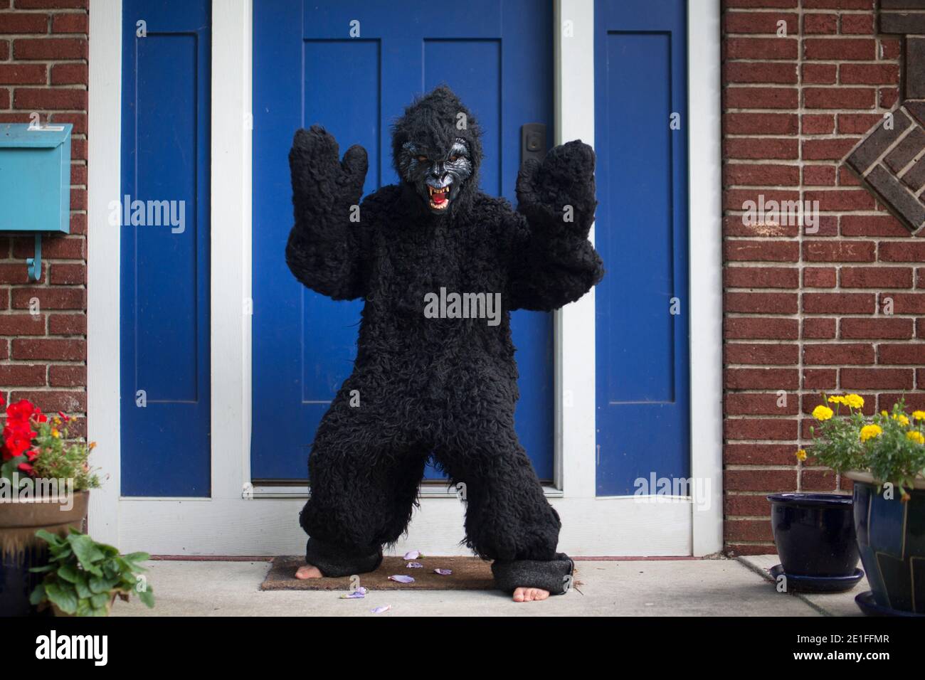 Ein Junge mit Gorilla-Anzug und Maske steht barfuß Auf der Vorderseite  stoop Stockfotografie - Alamy