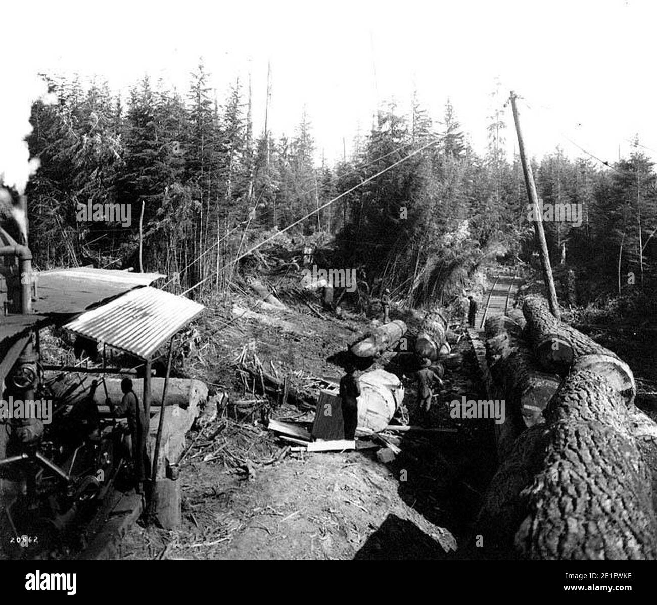 Laden von Logs in Camp 1, McDougal und Biladeau Logging Co, Ravensdale Stockfoto