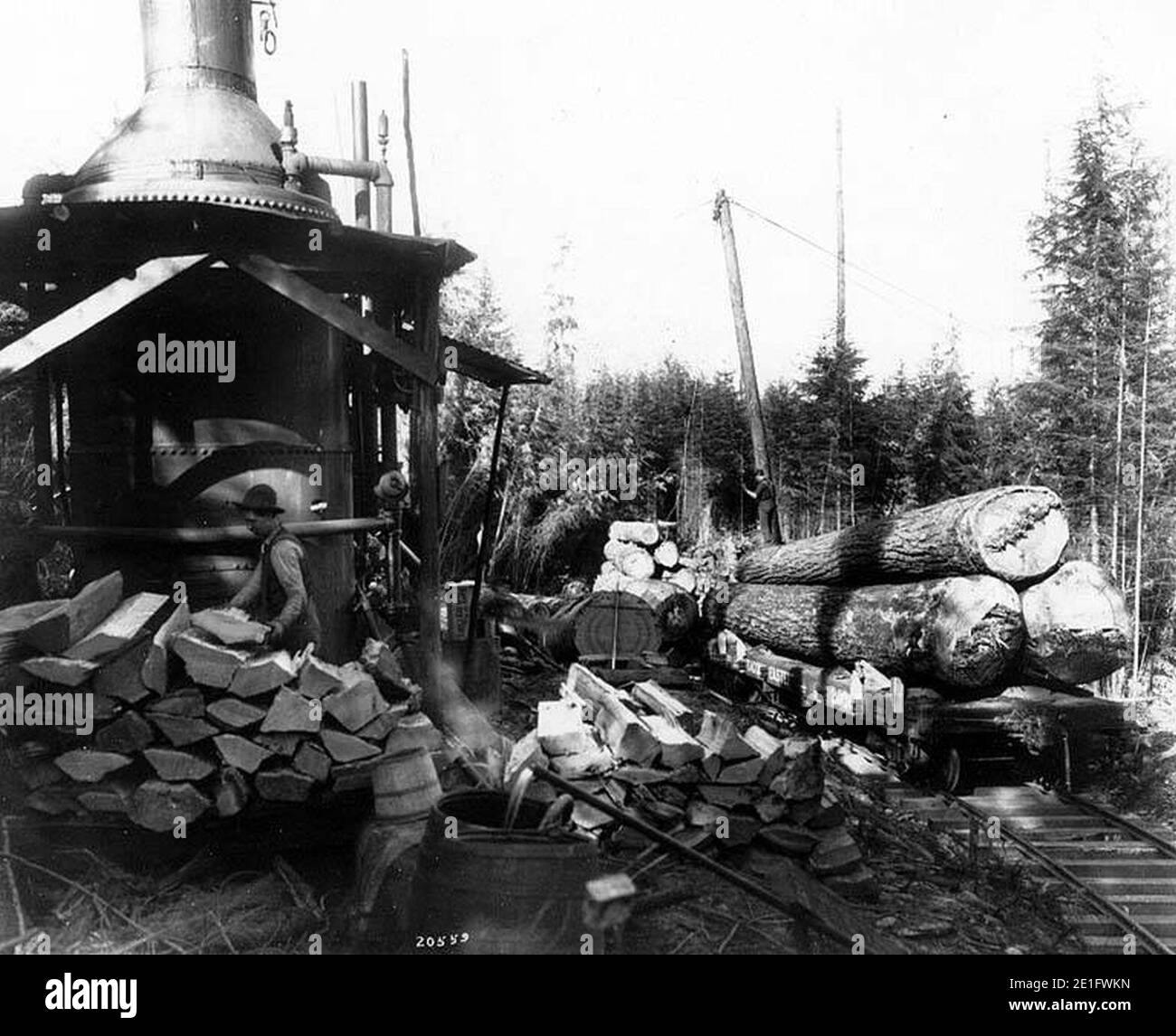 Laden von Logs auf Eisenbahnwagen, McDougal und Biladeau Logging Co, Ravensdale Stockfoto