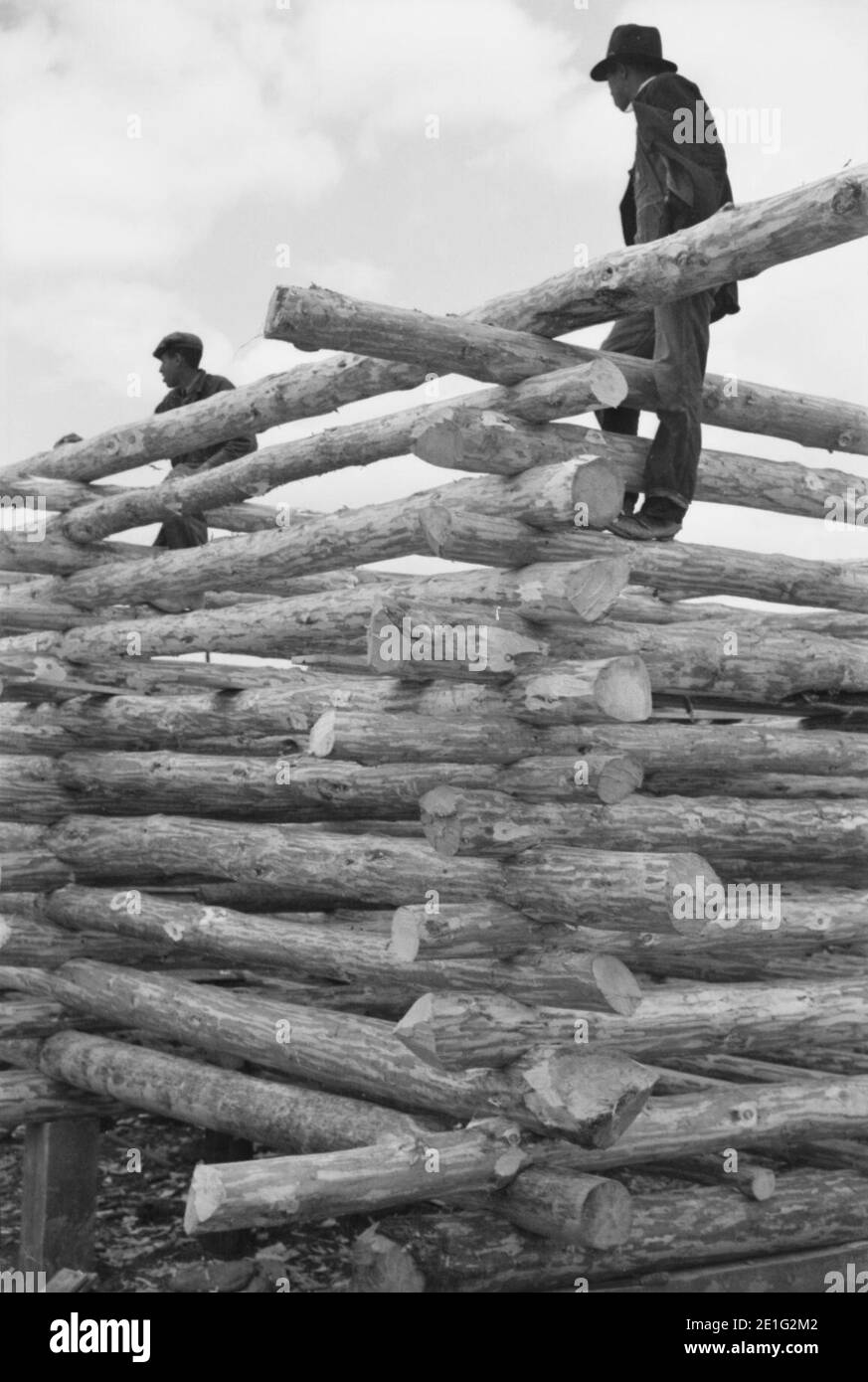 Log Construction Walker Evans Foto Stockfoto