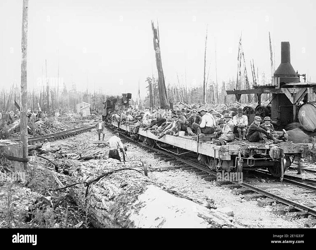 Holzbesatzung auf Flachwagen gezogen von Shay Lok, Aloha Lumber Company, ca 1921 Stockfoto