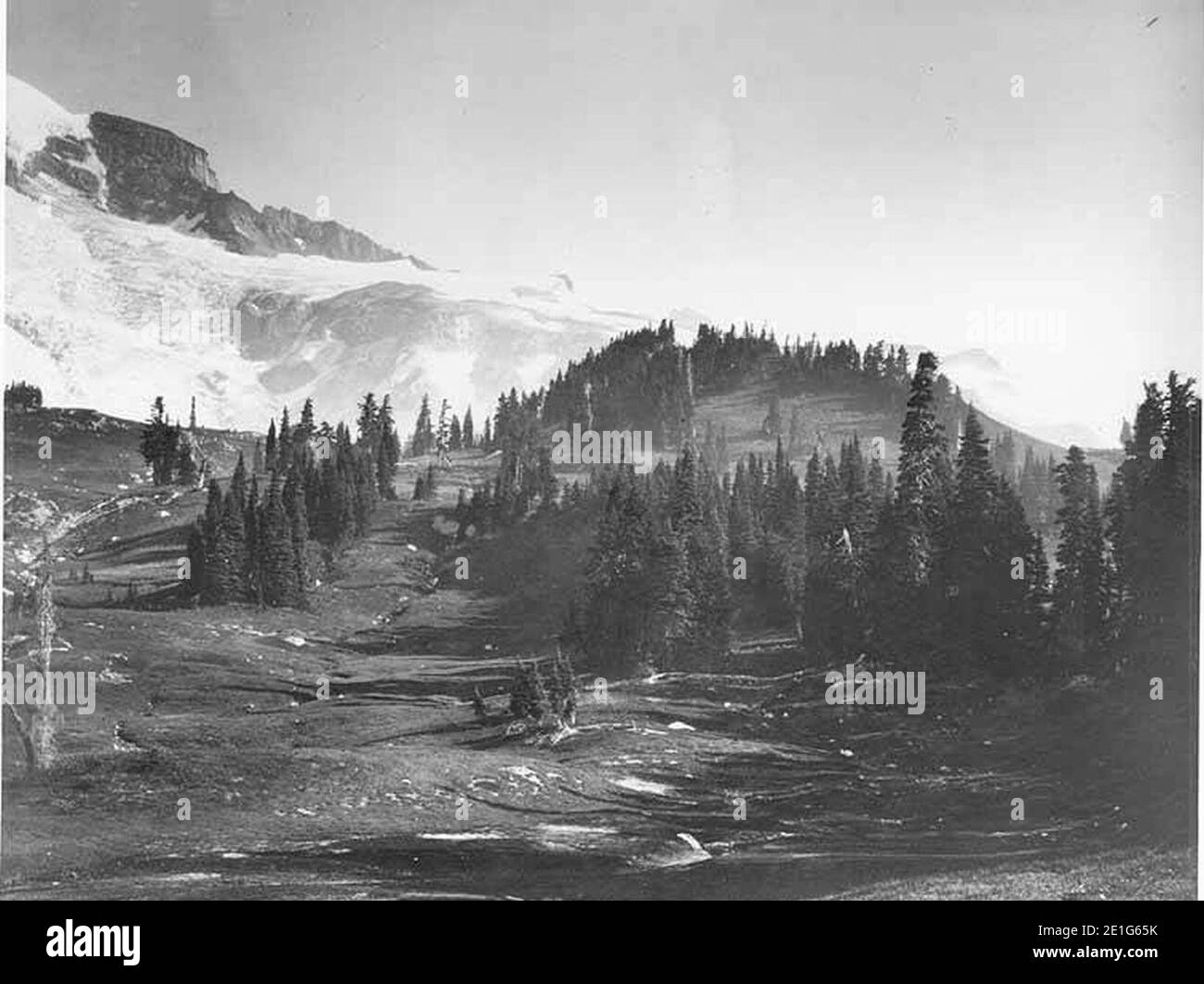 Blick nach Norden in Richtung Gibraltar Rock, Cowlitz Cleaver, Beehive und Kopf des Nisqually Glacier, 19. August 1895 (WAITE 36). Stockfoto