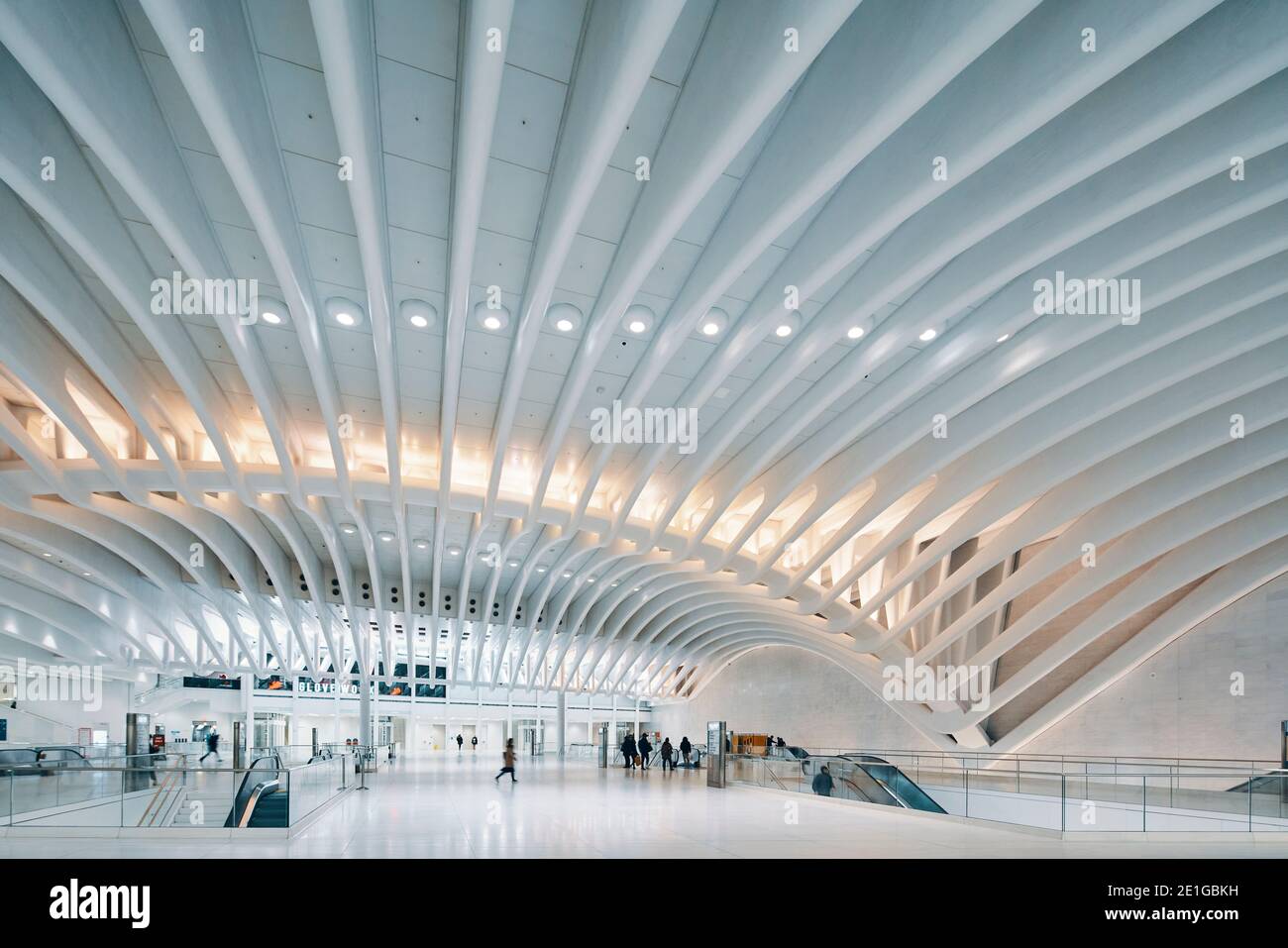 Innenraum des Oculus, des World Trade Center Transportation Hub (PATH), Manhattan, New York, USA. Stockfoto