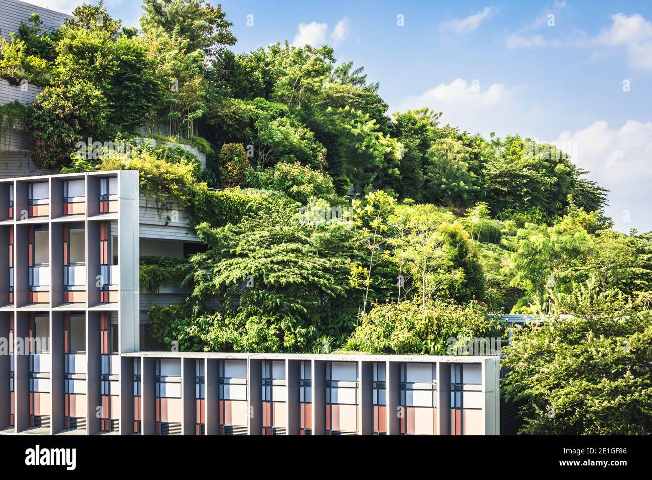 Kampung Admiralty in Singapur, eine grüne Gemeinschaft integrierte Entwicklung. World Building of the Year beim World Architecture Festival 2018 Stockfoto
