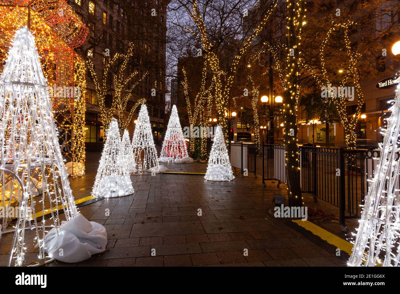 WA19024-00...WASHINGTON - Bäume im Winter Light Display im Westlake Park in Downtown Seattle. Stockfoto