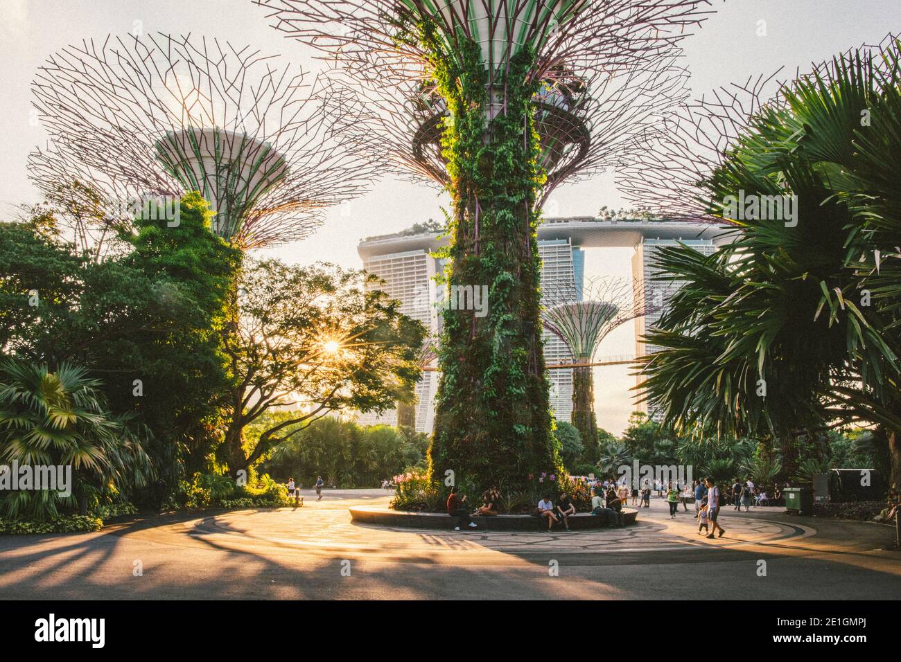 Sonnenuntergang bei den Supertrees at Gardens by the Bay, Singapur, mit Marina Bay Sands im Hintergrund. Stockfoto