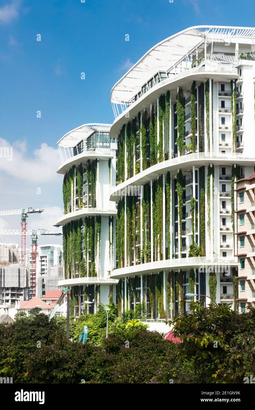 Außenansicht des Tembusu-Wohnhauses in Singapur mit einer organischen, lebendigen Fassade. Stockfoto