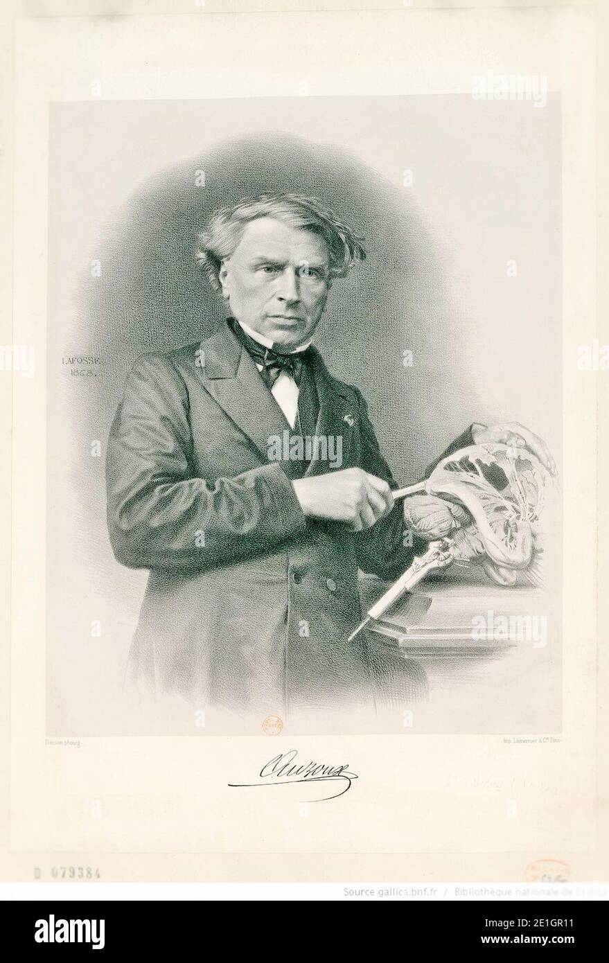 Louis Auzoux (2) 1. Stockfoto