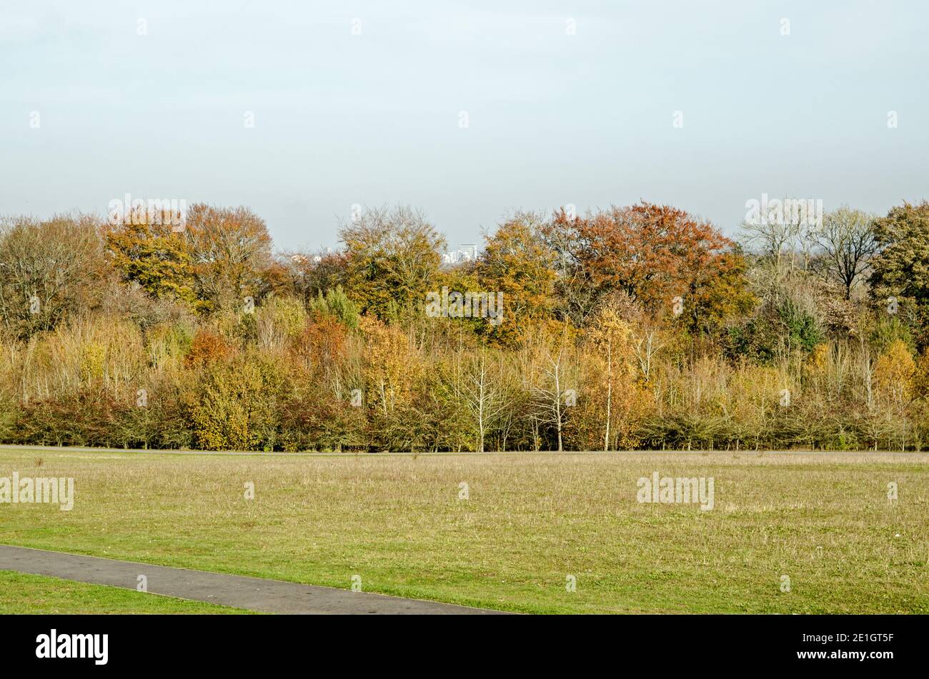 Blick auf das Stadtzentrum von Beggarwood Park in Basingstoke, Hampshire an einem sonnigen Herbsttag. Stockfoto