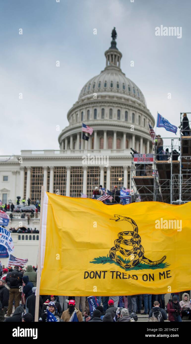 Januar 2021. Capitol Hill Rioters mit Don't Tread on Me Flagge in der Nähe von Gerüsten für Biden Antrittsrede gebaut. US Capitol Building Washington DC.USA Stockfoto