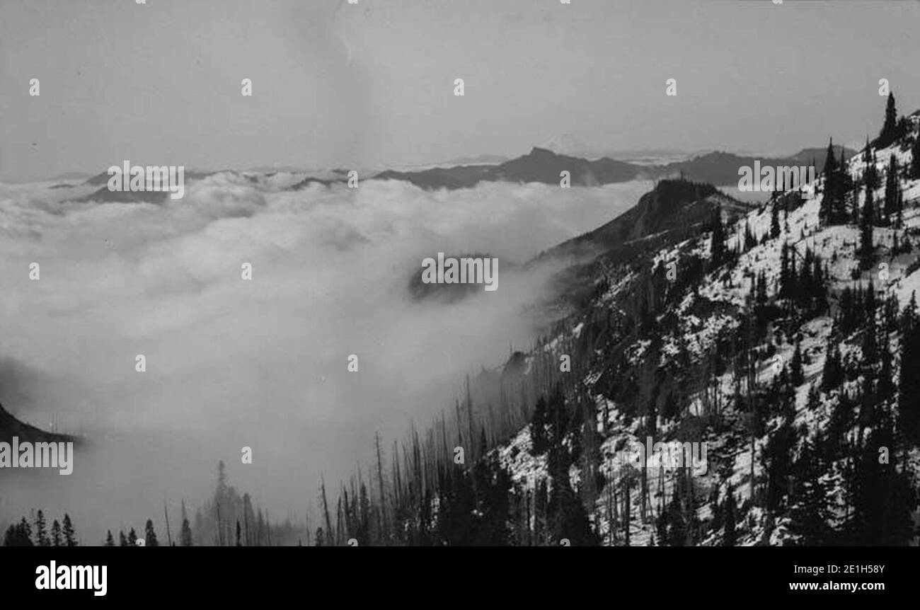 Niedrige Wolken von oben gesehen auf Indian Henry's Hunting Ground mit Mt St. Helens in der Ferne, Mt Rainier, Juli 1910 (WASTATE 2291). Stockfoto