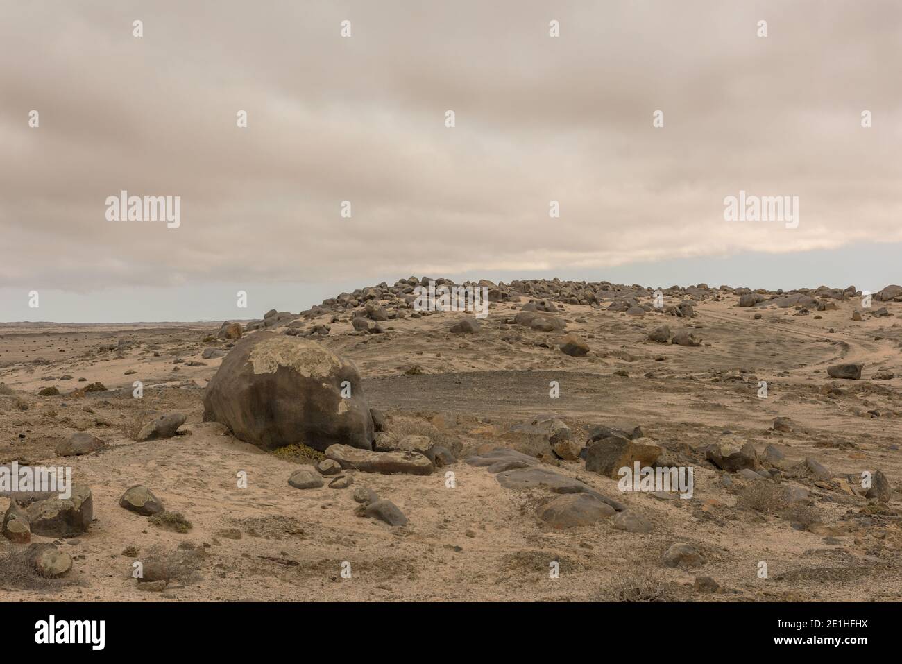 Wunderschöne steinerne Landschaft in der Namib Wüste nahe der Atlantikküste, Namibia Stockfoto