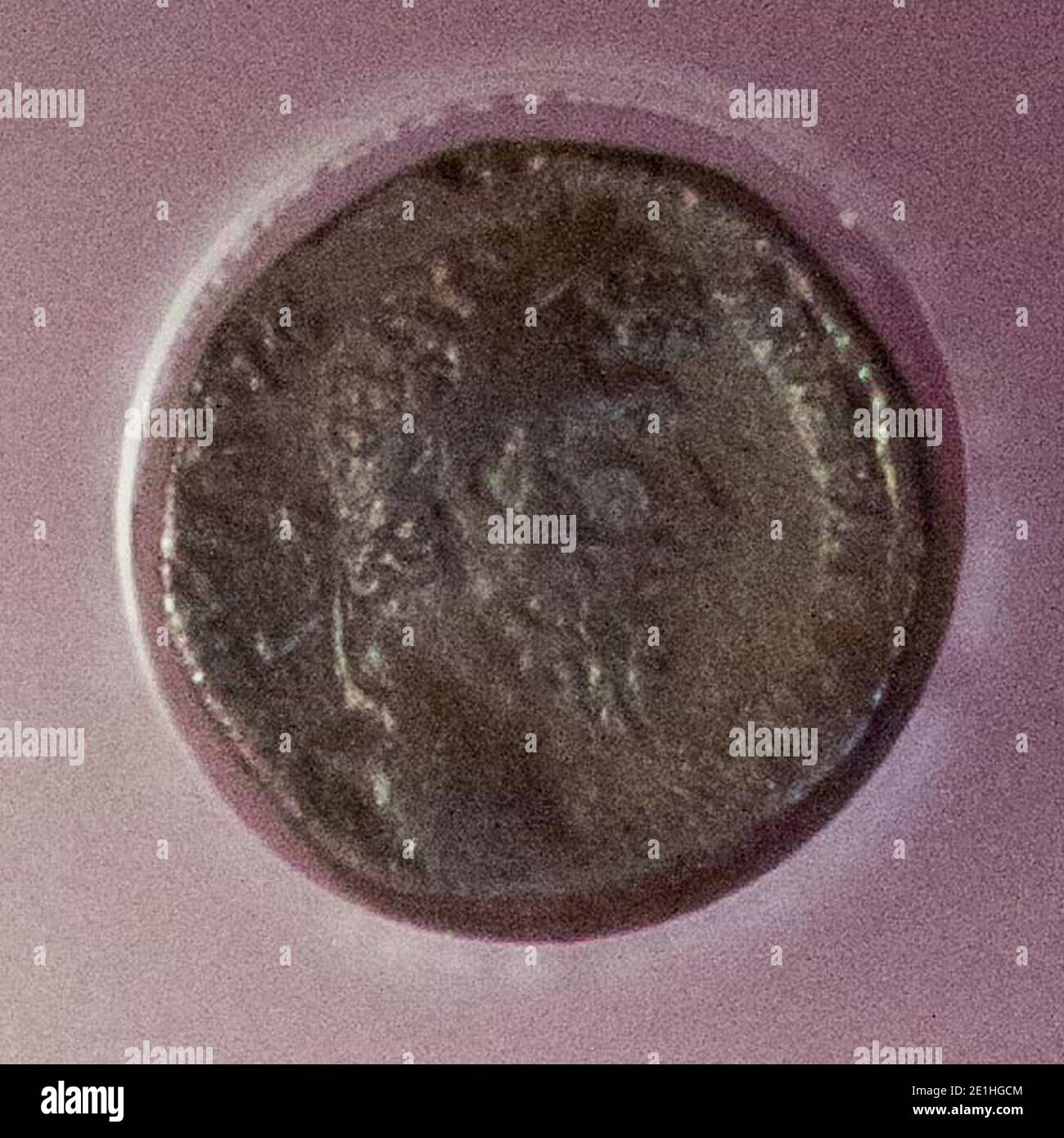 Lucius Verus (römische Münze). Stockfoto