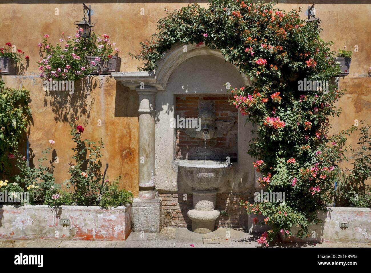 Idyllischer historischer Brunnen mit Rosenbusch (Antigua, Guatemala, Mittelamerika) Stockfoto