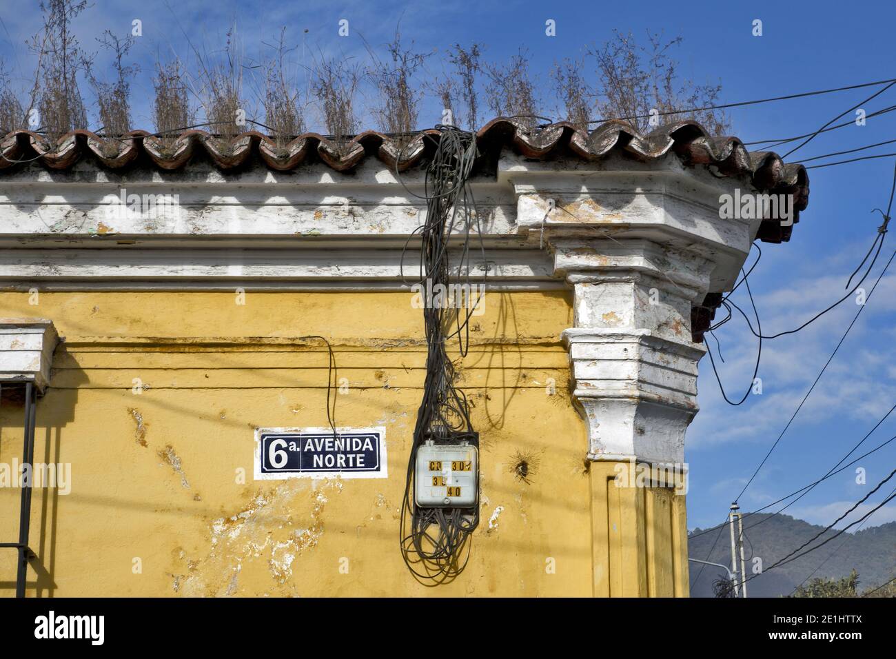 Antigua, Guatemala, Mittelamerika: Pflanzen sprießen aus der Wand mit historischer Fassade - das Leben findet einen Weg Stockfoto