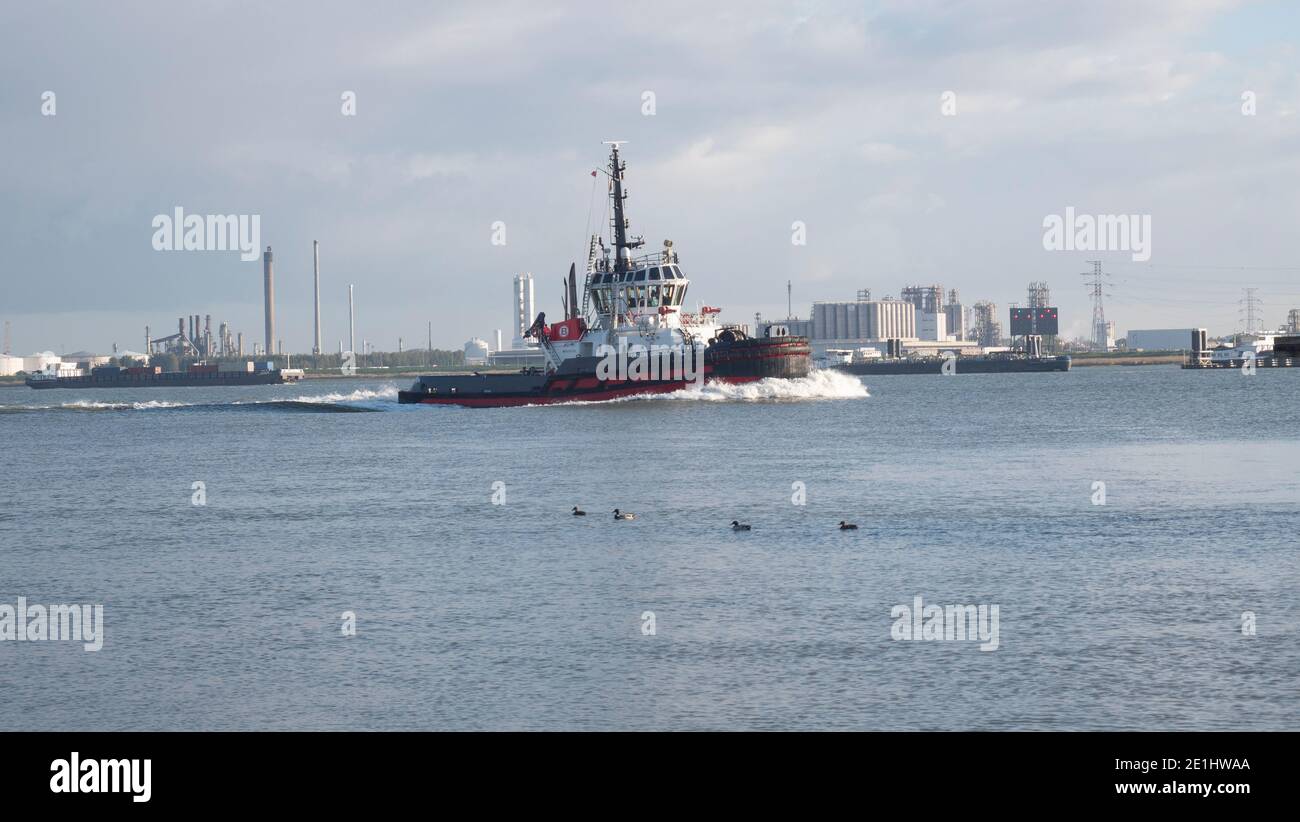 Doel, Belgien 10. Oktober 2020, das Schiff UNION GRIZZLY ist ein Schlepper, gebaut 2007 und unter der Flagge von Belgien segelnd Stockfoto