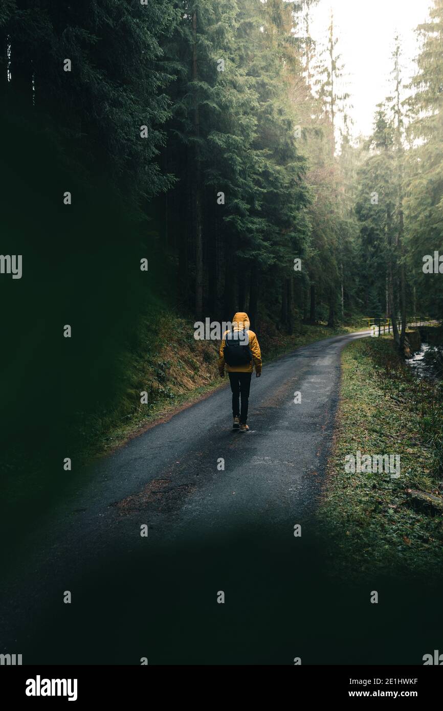 Ein junger Mann, der in den Wald wandert. Junger roamer. Lifestyle-Fotografie im tiefgrünen Wald mit gelber Jacke Stockfoto
