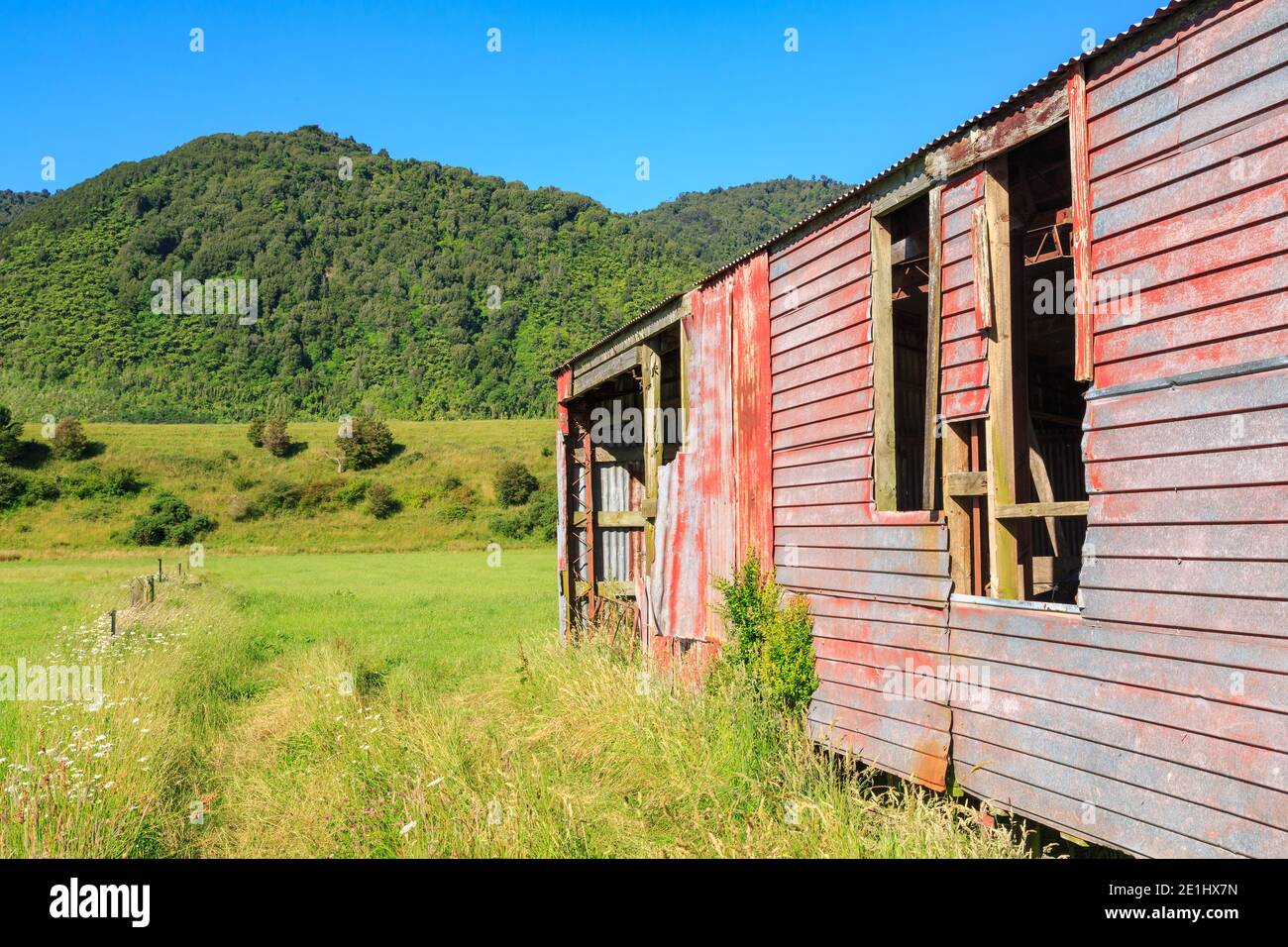 Die Mauer einer alten Scheune, mit bewaldeten Hügeln im Hintergrund. Fotografiert in der Waikato Region, Neuseeland, mit Blick auf die Kaimai Berge Stockfoto