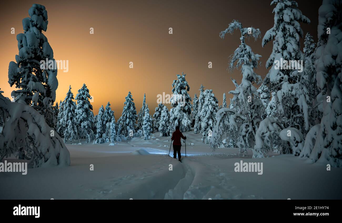 Person, die nachts durch schweren Schnee in einem wilden Kiefernwald geht. Stockfoto