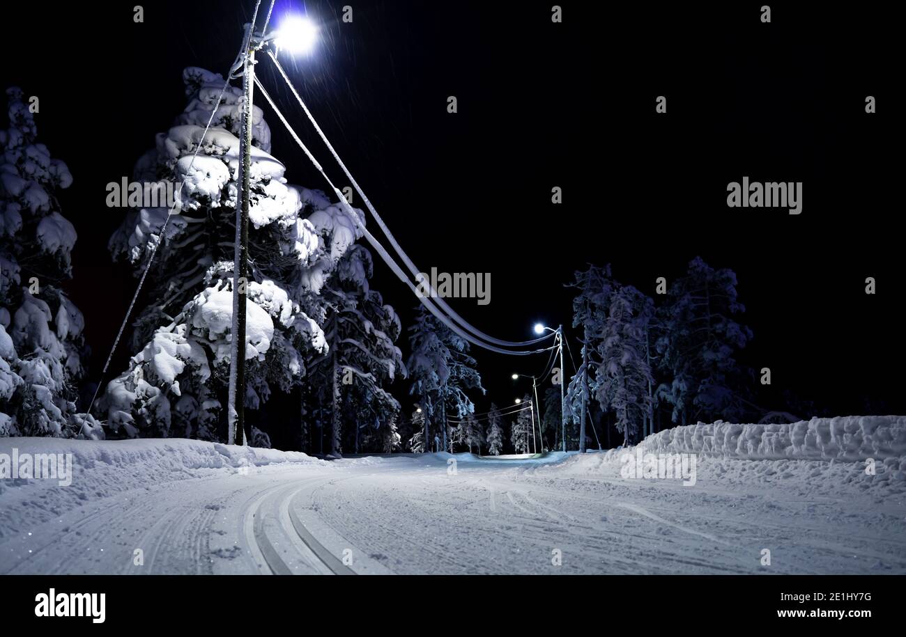 Skilanglaufloipen durch den Wald bei Nacht. Stockfoto