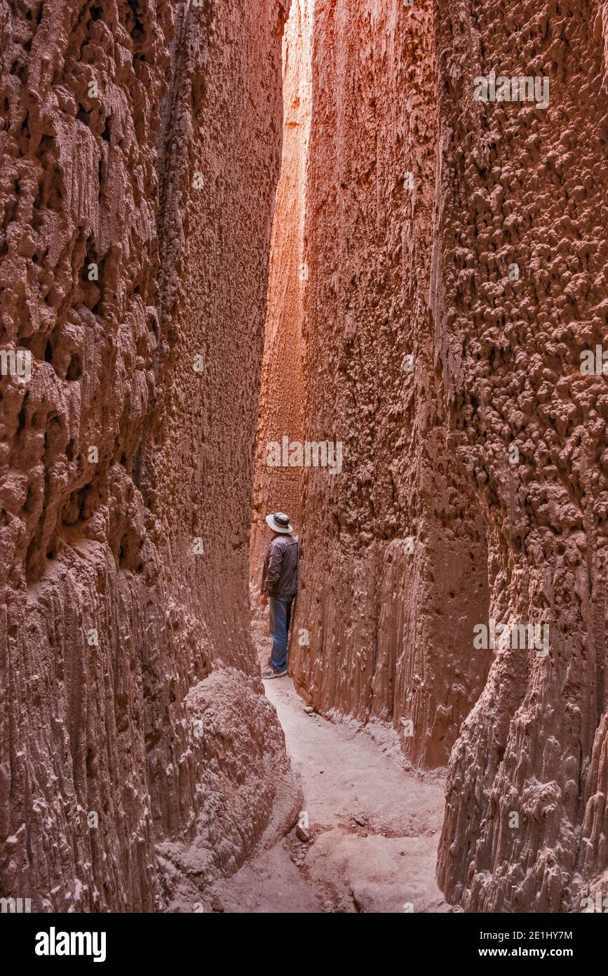 Slot Canyon erodierte in eine Bentonit Tonformation, Badlands des Cathedral Gorge State Park, Great Basin, Nevada, USA Stockfoto