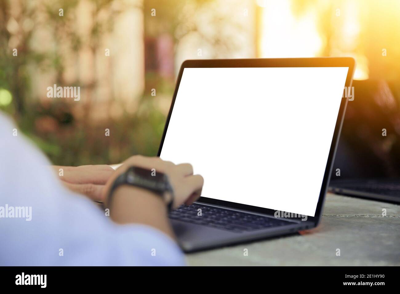 Zugeschnittenes Bild eines jungen Mannes, der in einem Garten an seinem Laptop arbeitet, Rückansicht der Hände eines Geschäftsmanns, der am Büroschreibtisch mit dem Laptop beschäftigt ist und auf Computern tippt Stockfoto